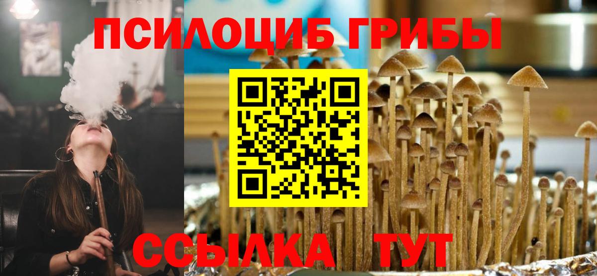 Псилоцибиновые грибы GOLDEN TEACHER Шахты